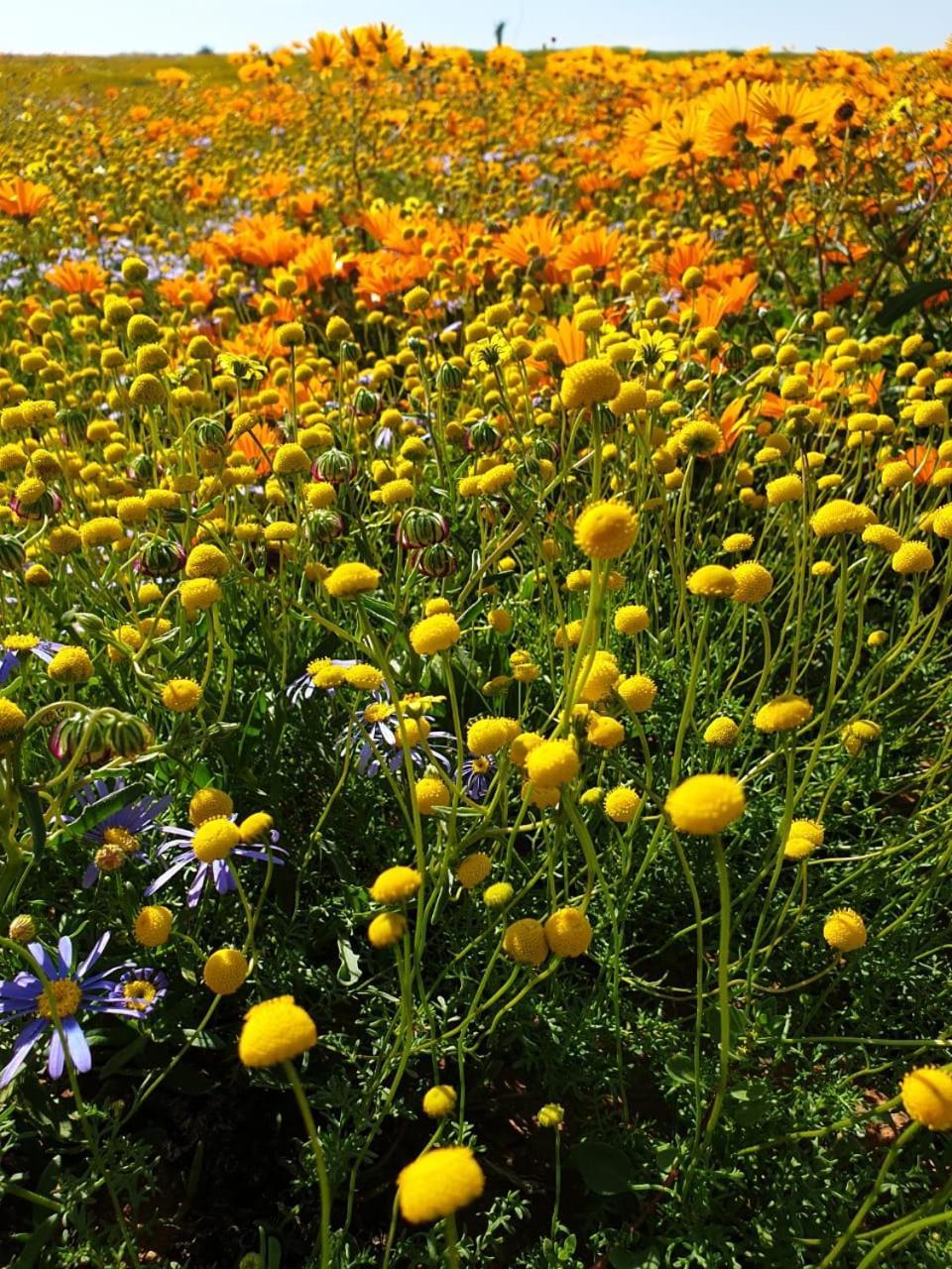 Namaqualand Eco Lodge Soebatsfontein Zewnętrze zdjęcie