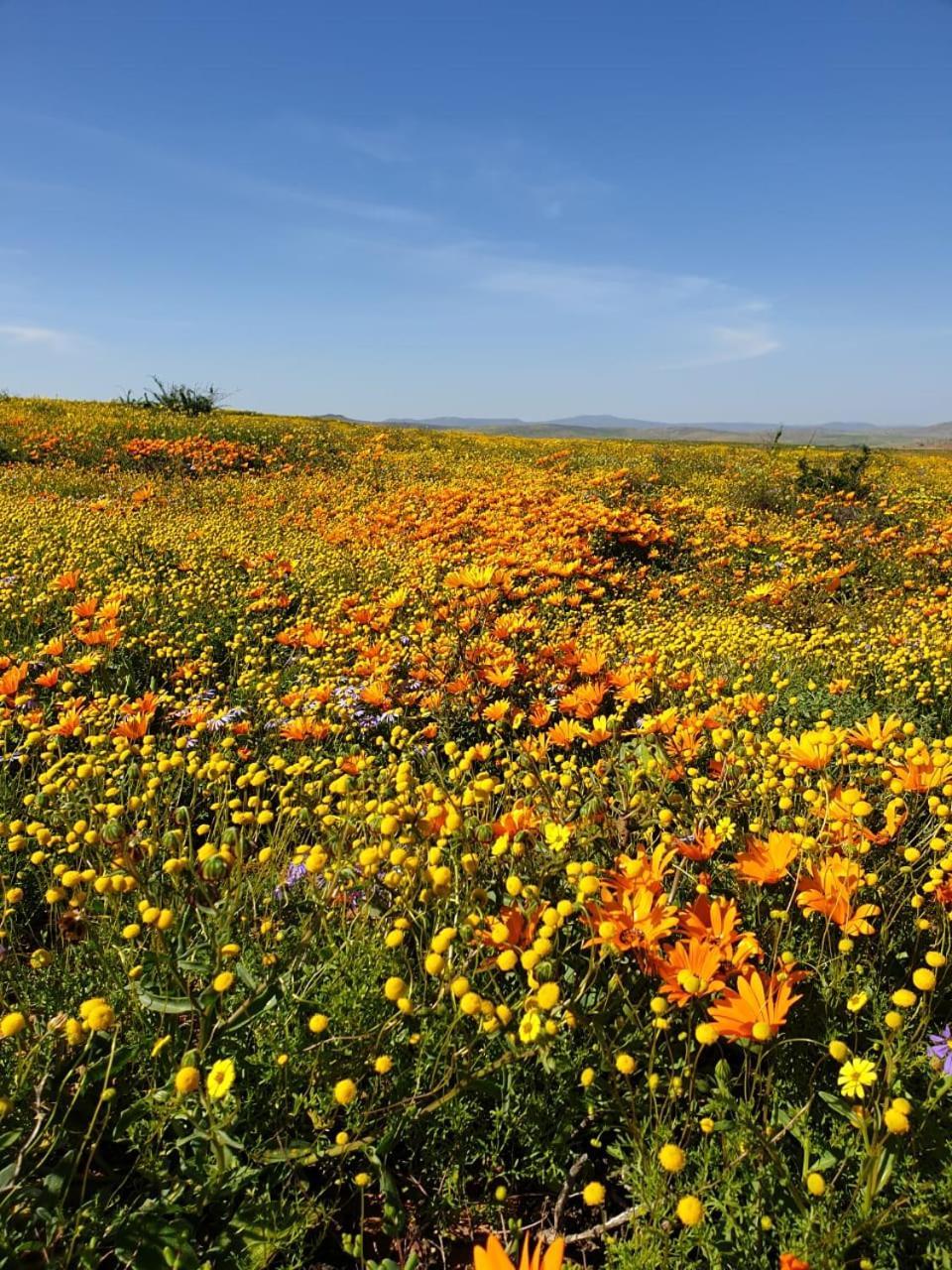 Namaqualand Eco Lodge Soebatsfontein Zewnętrze zdjęcie